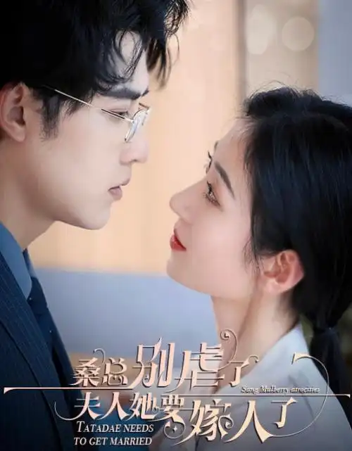 鹤归长夜电视剧全集在线观看